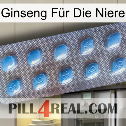 Ginseng Für Die Niere viagra3